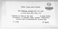 Guignardia concinna image